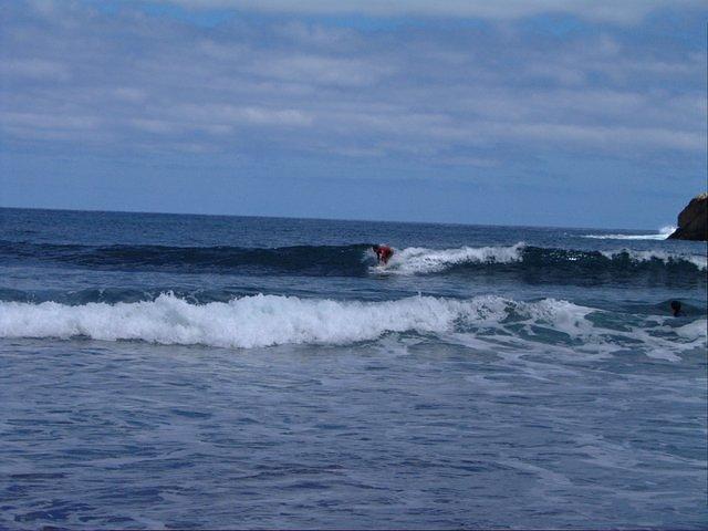 07809 crw