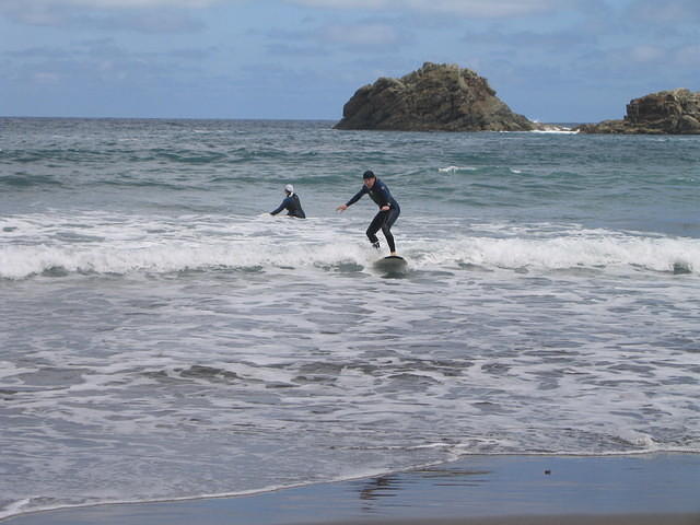 07833 img