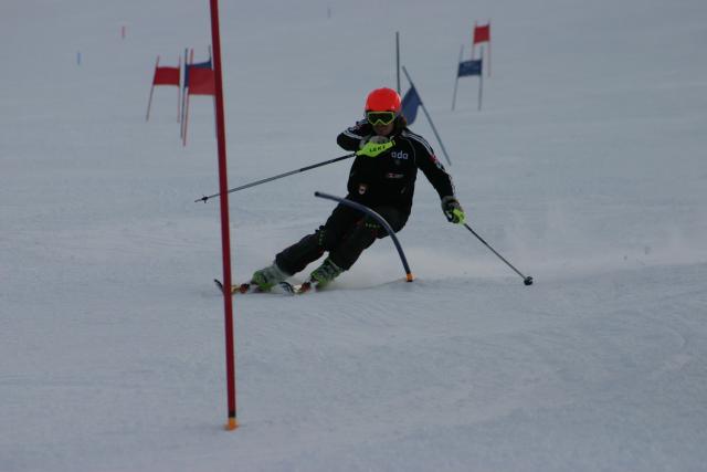 15446_img.jpg