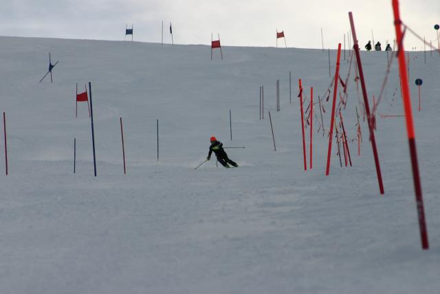 15550_img.jpg