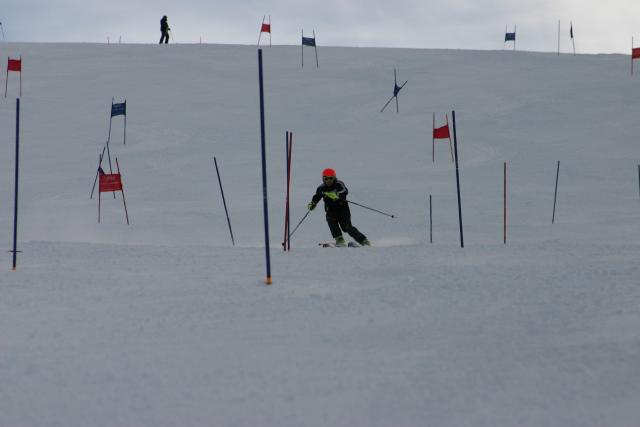 15553_img.jpg