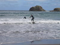 07833 img