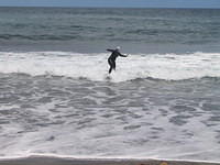 07837 img