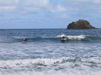 07843 img