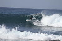 01000 IMG