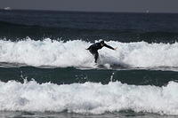 01065 IMG