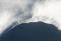 IMG_2521