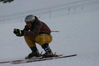 15557_img.jpg
