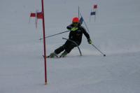 15446_img.jpg