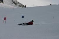 15505_img.jpg