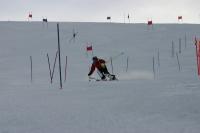 15511_img.jpg