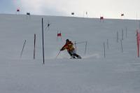 15541_img.jpg